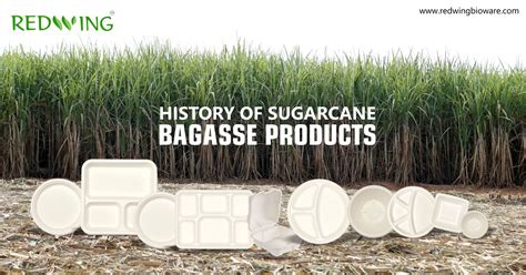 Bagasse Products Supplier & Sugarcane Bagasse .